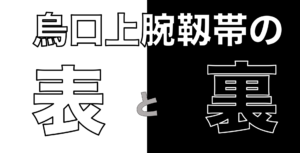 烏口上腕靱帯の評価~表と裏~