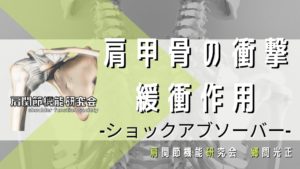 肩甲骨の衝撃緩衝作用。ショックアブソーバーとは？