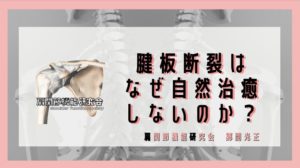 腱板断裂はなぜ自然治癒しないのか？