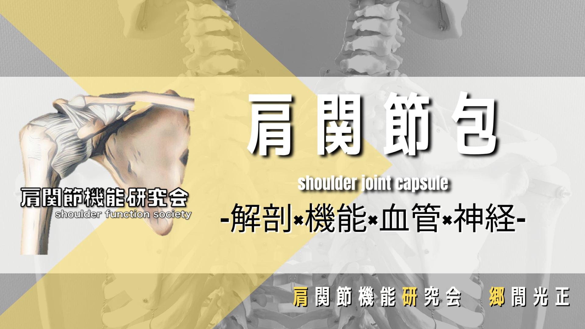 肩関節包の解剖学的特徴