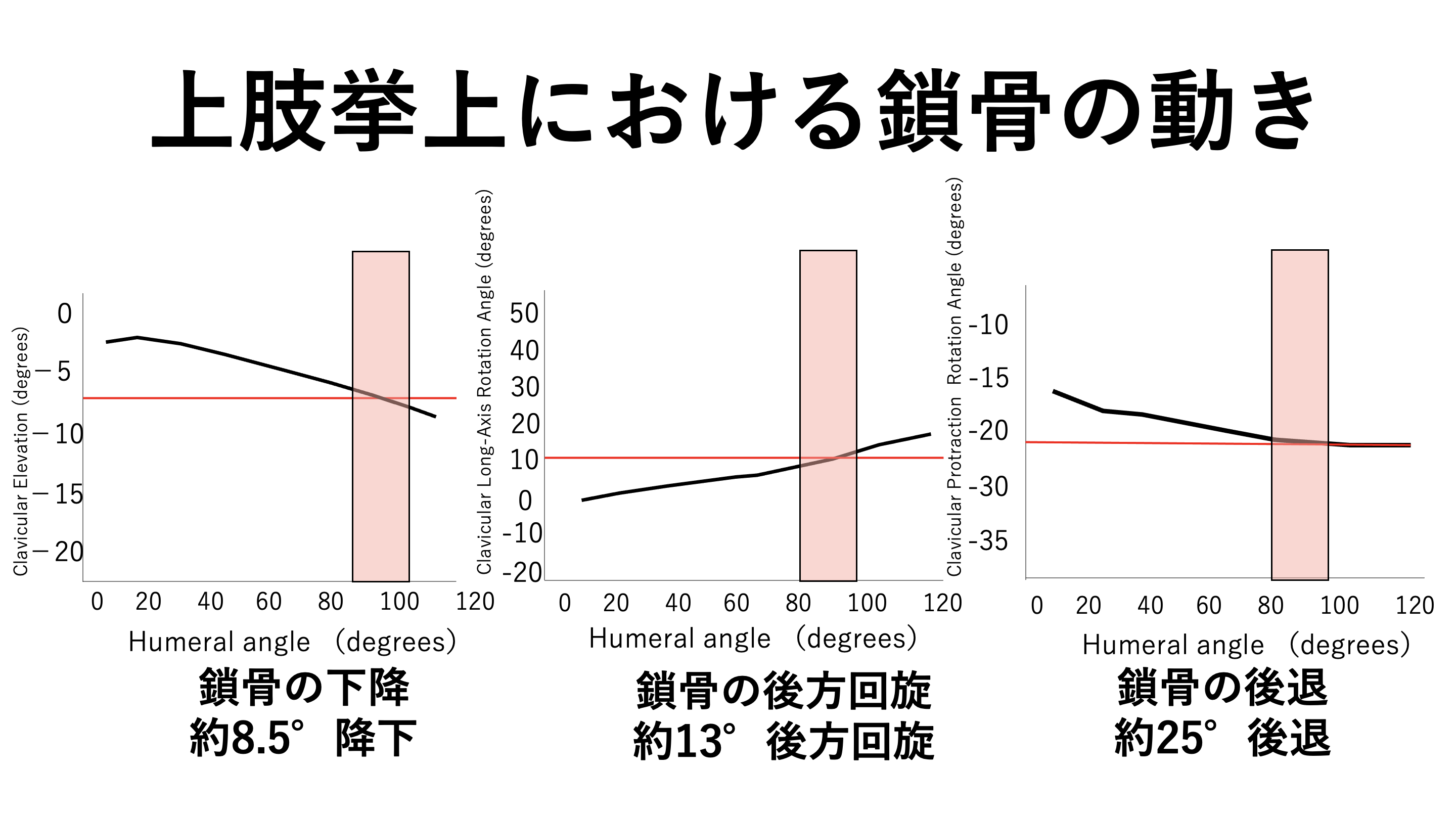 胸郭出口症候群 尺骨神経障害に着目して 肩関節機能研究会 肩研