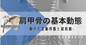 肩甲骨の基本動態