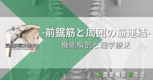 前鋸筋と周囲の筋連結-機能解剖と理学療法-