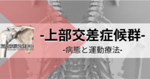 上部交差症候群の病態と運動療法