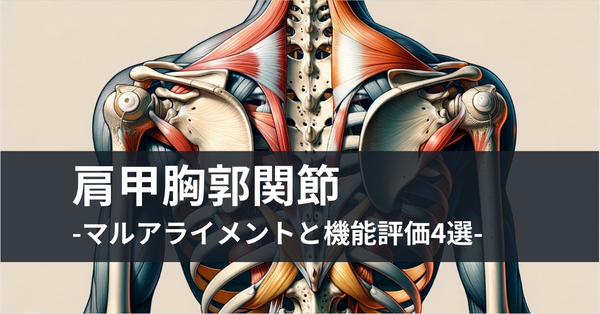 肩甲胸郭関節　-マルアライメントと機能評価法4選-