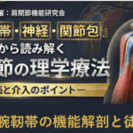 烏口上腕靭帯の機能解剖と徒手療法