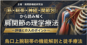 烏口上腕靭帯の機能解剖と徒手療法