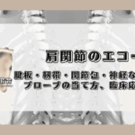 肩関節のエコー（腱板・靭帯・関節包・神経などの見方、プローブの当て方、臨床応用など）