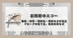 肩関節のエコー（腱板・靭帯・関節包・神経などの見方、プローブの当て方、臨床応用など）