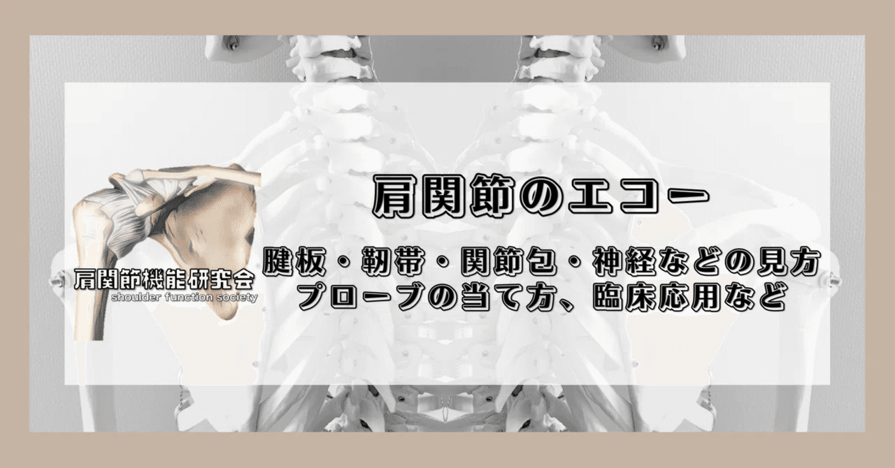 肩関節のエコー（腱板・靭帯・関節包・神経などの見方、プローブの当て方、臨床応用など）