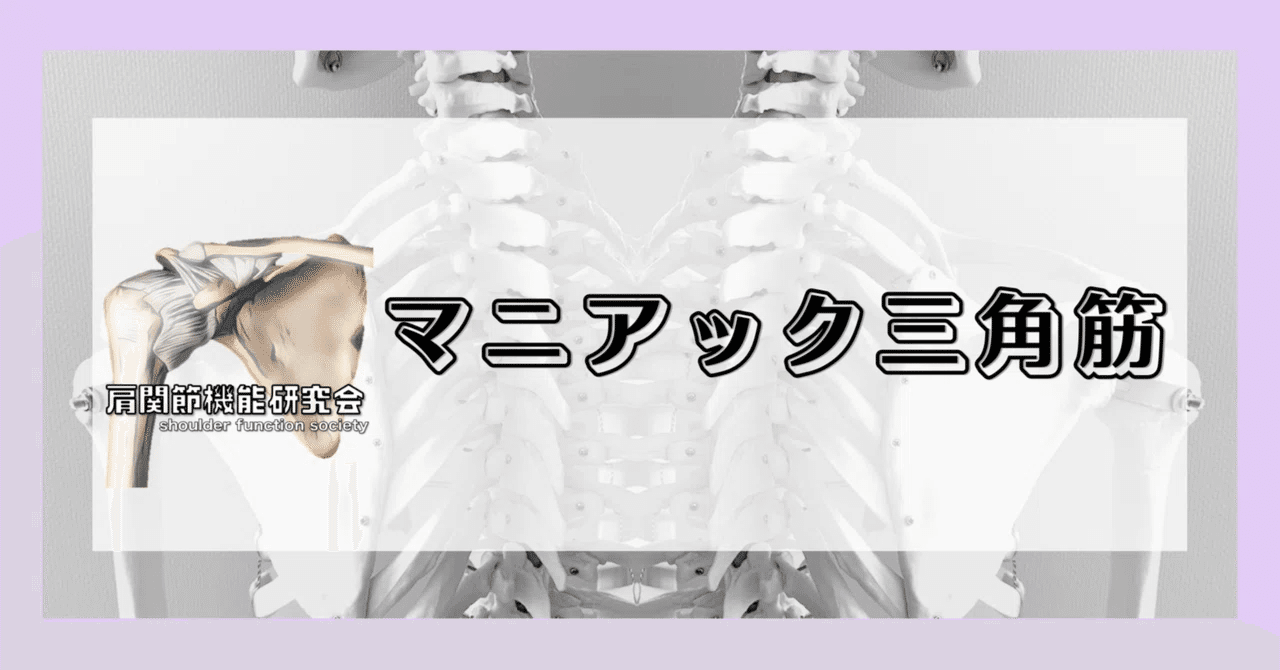 マニアック三角筋