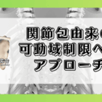 関節包由来の可動域制限へのアプローチ